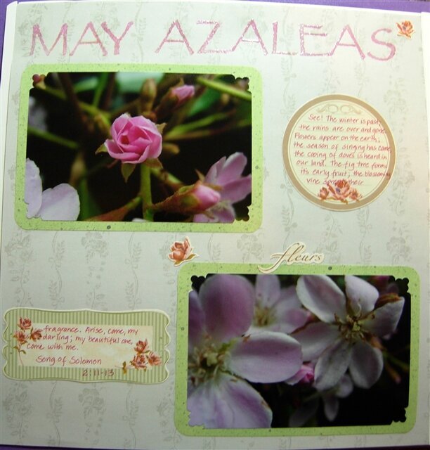 May Azaleas Page 2 Oct Challenge