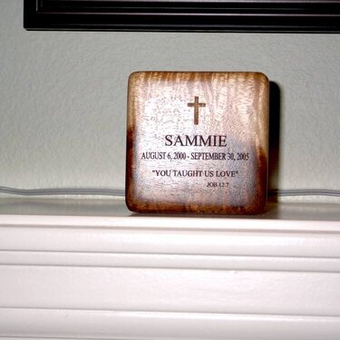 Our Beloved Sammie, 2000-2005