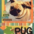 lovePug