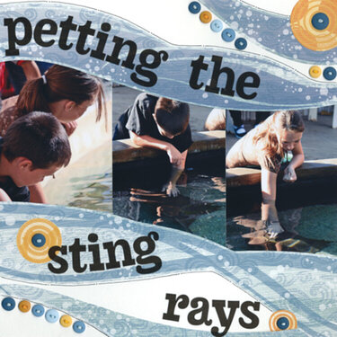 Petting the Sting Rays