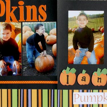 Pumpkin Picking