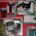 Christmas with Our Cats