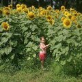 Esme in the Sunflowers