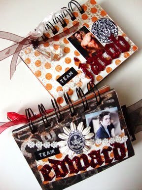 Team Edward - Team Jacob Mini Book