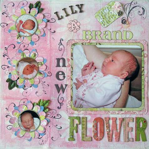 Lily - A Brand New Flower