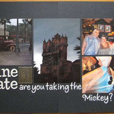 Sunshine State - are you taking the Mickey?