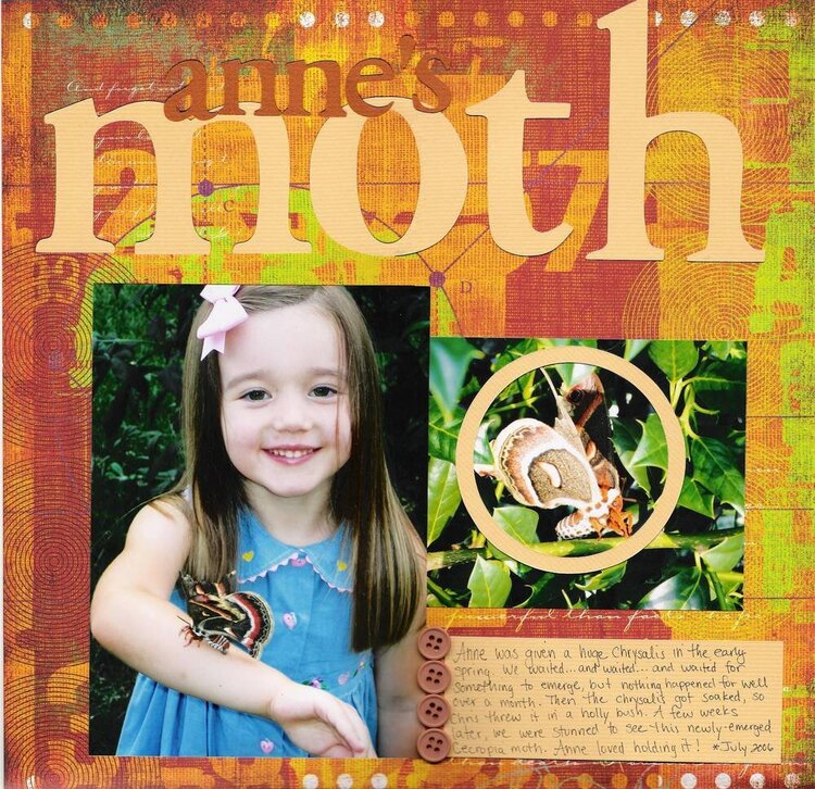Anne&#039;s Moth