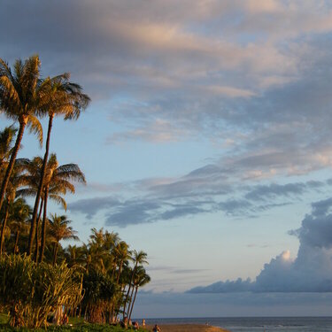 Evening Light