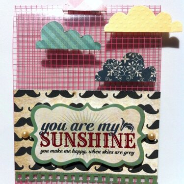 you are my sunshine **The Sampler February 2012 kit**