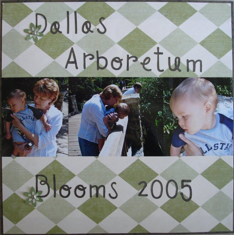 Dallas Arboretum Blooms