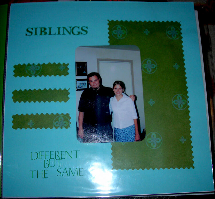 Siblings: Different but the Same