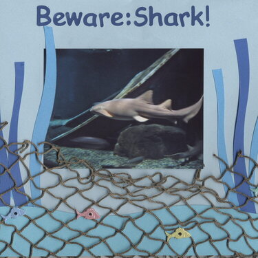 Beware! Shark!