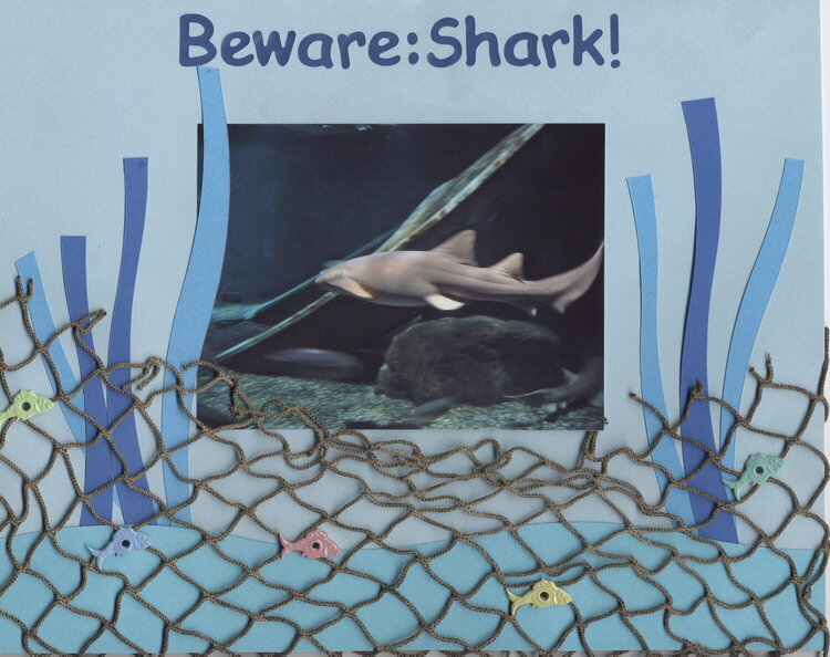 Beware! Shark!