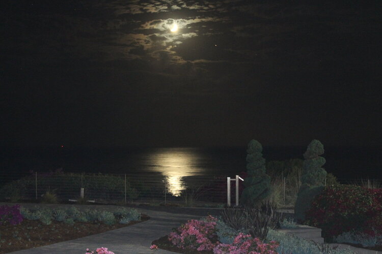 Moonlit night view.