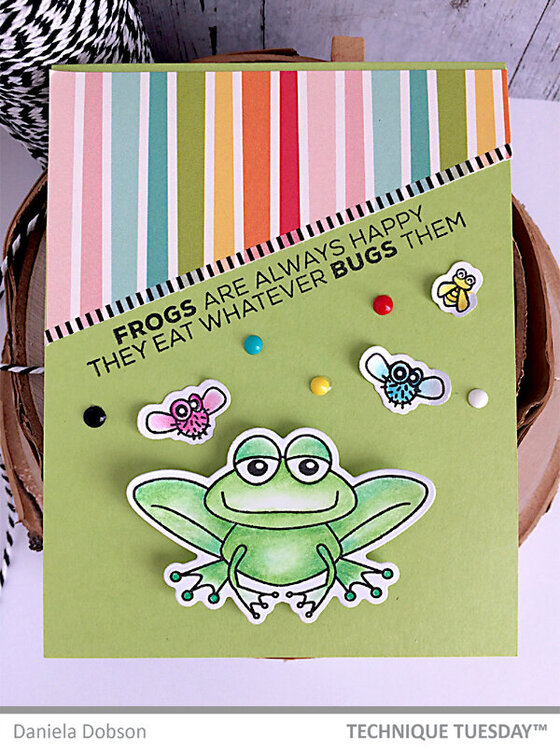 ~ frogs are happy ~