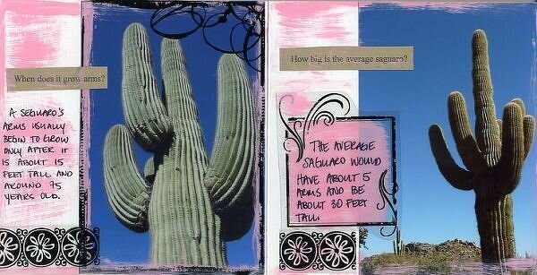 ~ the saguaro ~ ** mini album **