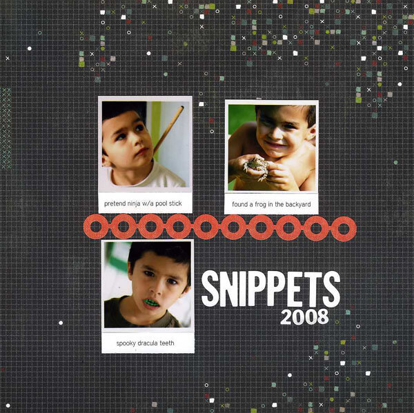 snippets 2008