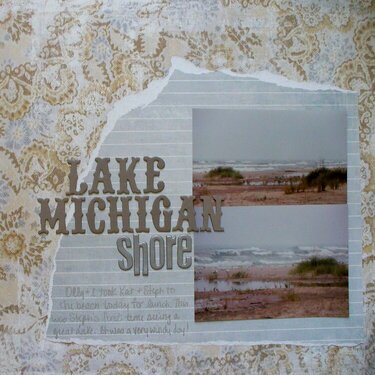 Lake Michigan Shore