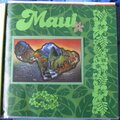 Maui title page