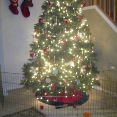 Laura &amp; Donovan&#039;s Christmas Tree