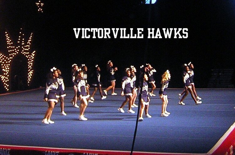 Victorville Hawks - Silver