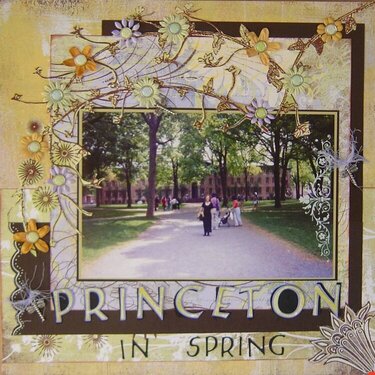 Princeton in spring
