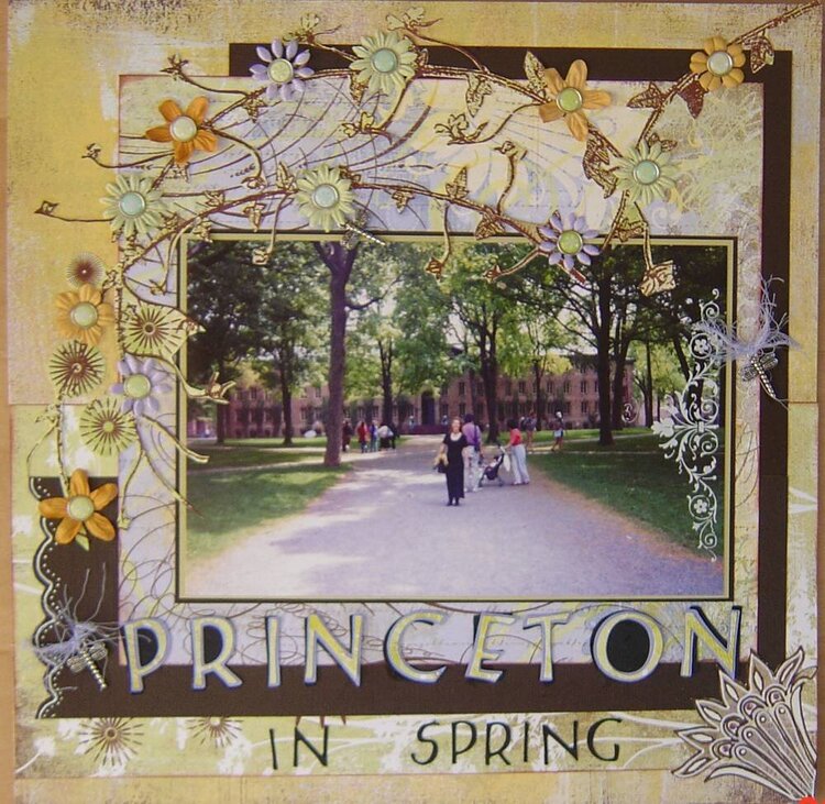 Princeton in spring
