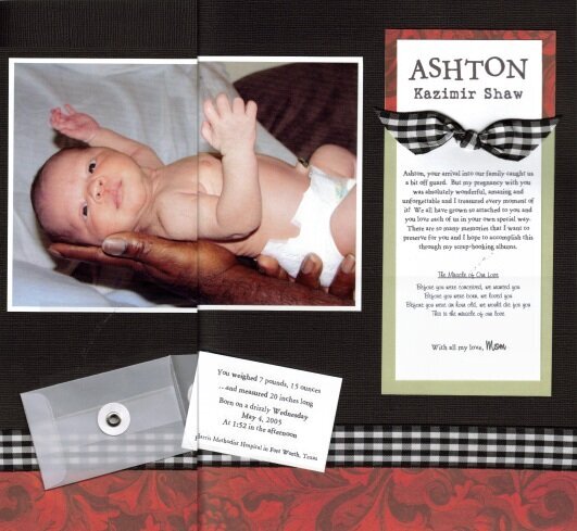 Ashton&#039;s Pregnancy Album: Title Page