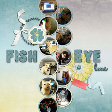 Family Album 2015: Fish Eye Lens