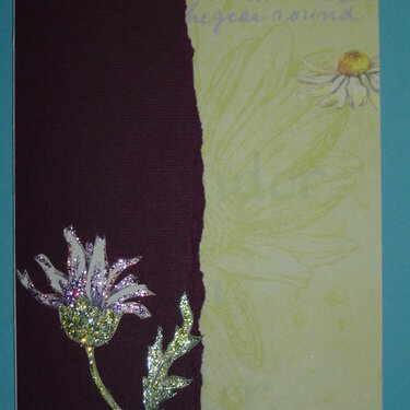 Stickled Daisy2