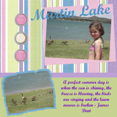 Martin Lake