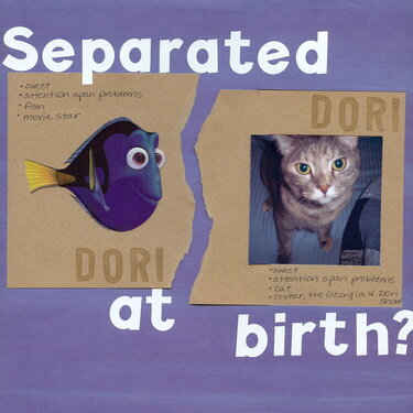 separated at birth?