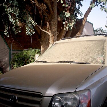 Dust bowl car