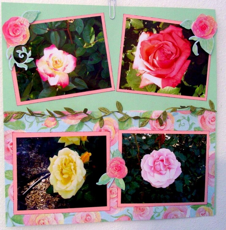 June Roses pg2