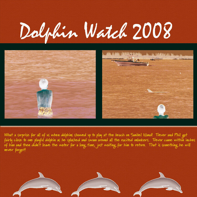 Dolphin Watch 2008
