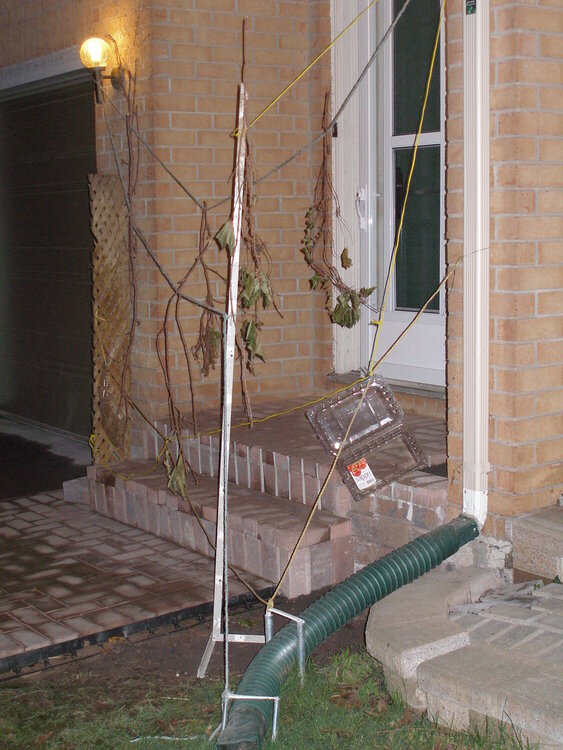 Crazy neighbour&#039;s front steps