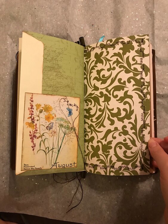 Washington Traveler&#039;s Notebook Insert