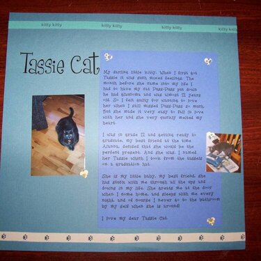 Tassie Cat