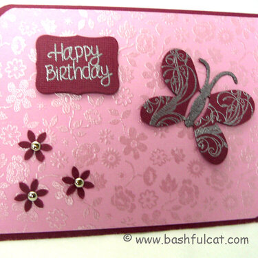 Pink Birthday Butterfly