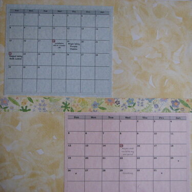 February &amp; March
