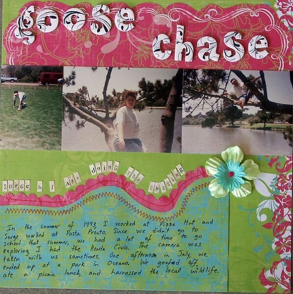 Wild Goose Chase