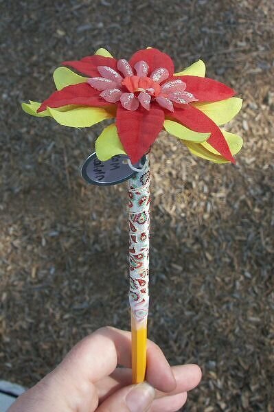 Pencil Flower