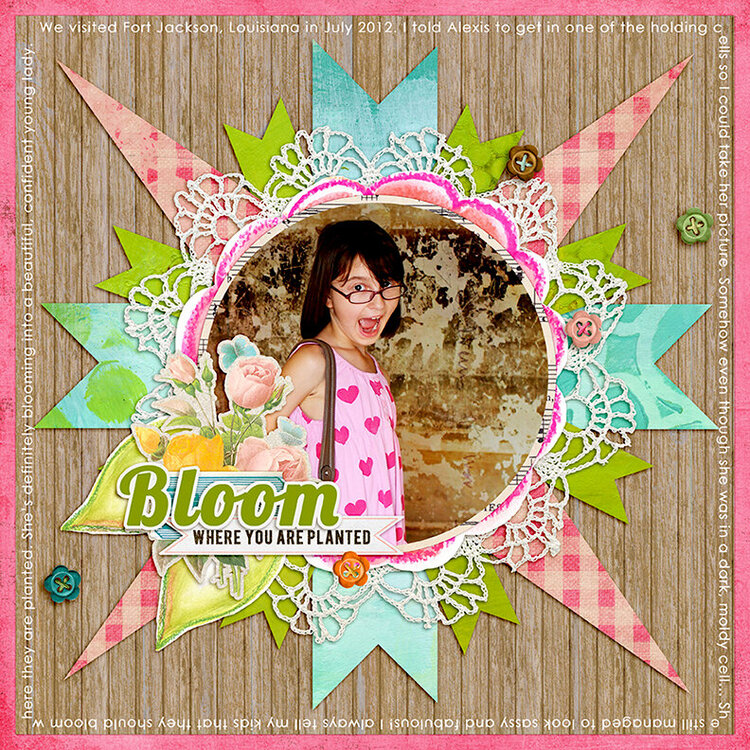 Bloom (Nancie Rowe Janitz)