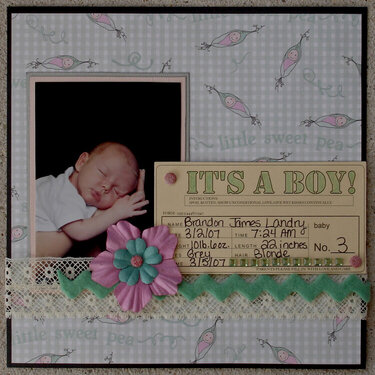 It&#039;s A Boy-Brandon&#039;s Baby Album