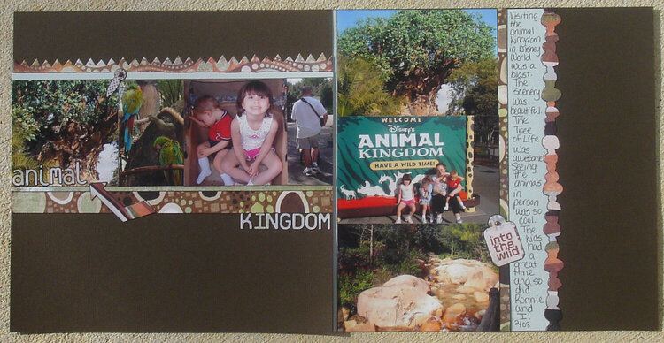 Animal Kingdom-2008 Disney Album