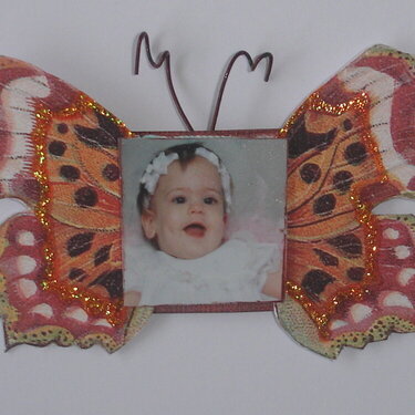 Hybid Butterfly Inchie-Jordan