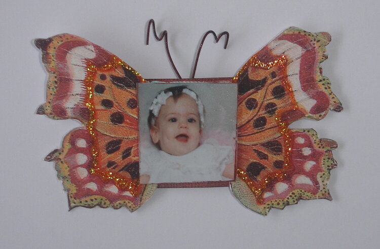 Hybid Butterfly Inchie-Jordan