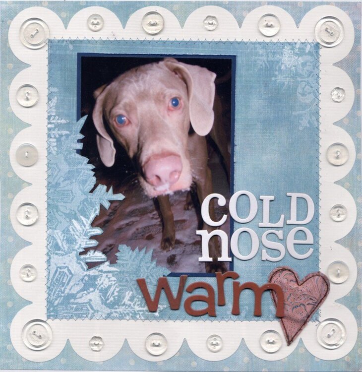 Cold nose, warm heart