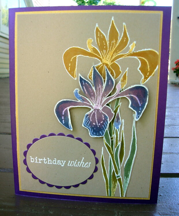 Iris Birthday Wishes