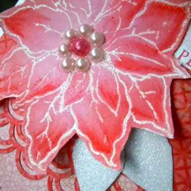 Pretty Poinsettia